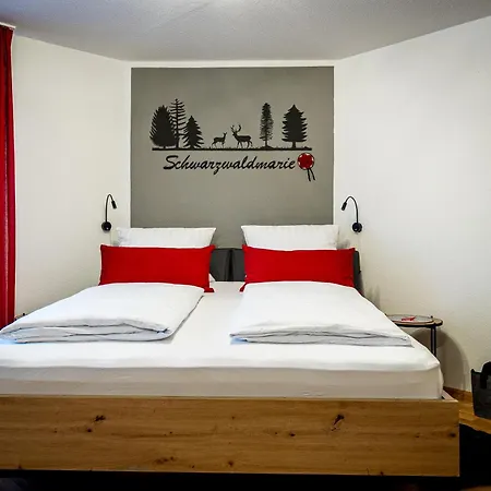 Apartamento Schwarzwaldmarie In Mit Badewanne Sonnenbalkon Tg-stellplatz Kueche