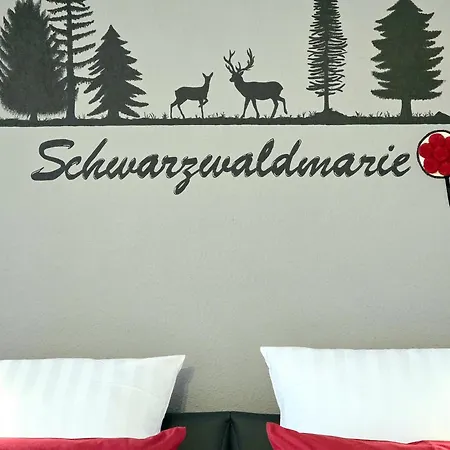 Schwarzwaldmarie In Mit Badewanne Sonnenbalkon Tg-stellplatz Kueche Titisee-Neustadt